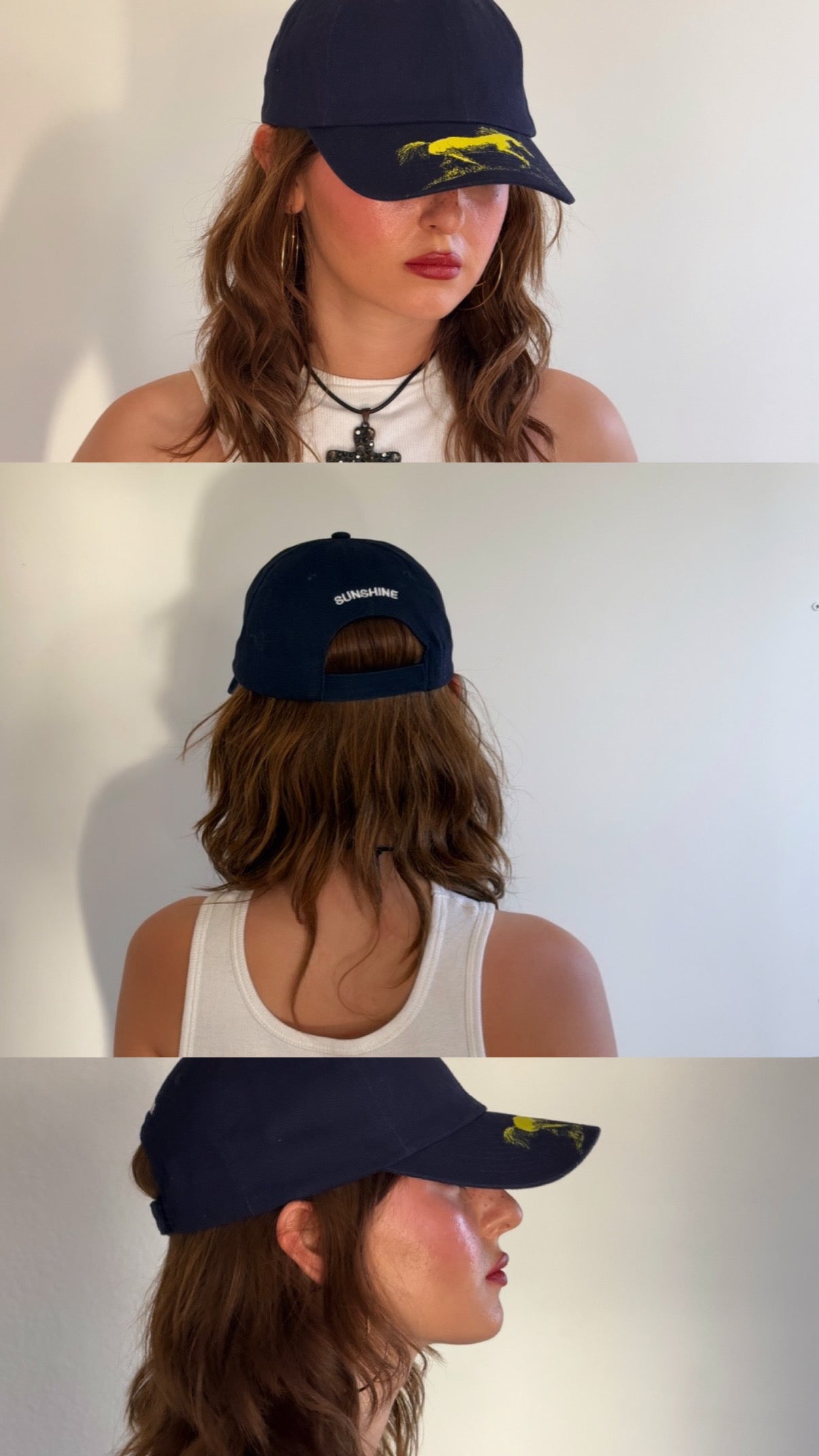 HORSE BRIM