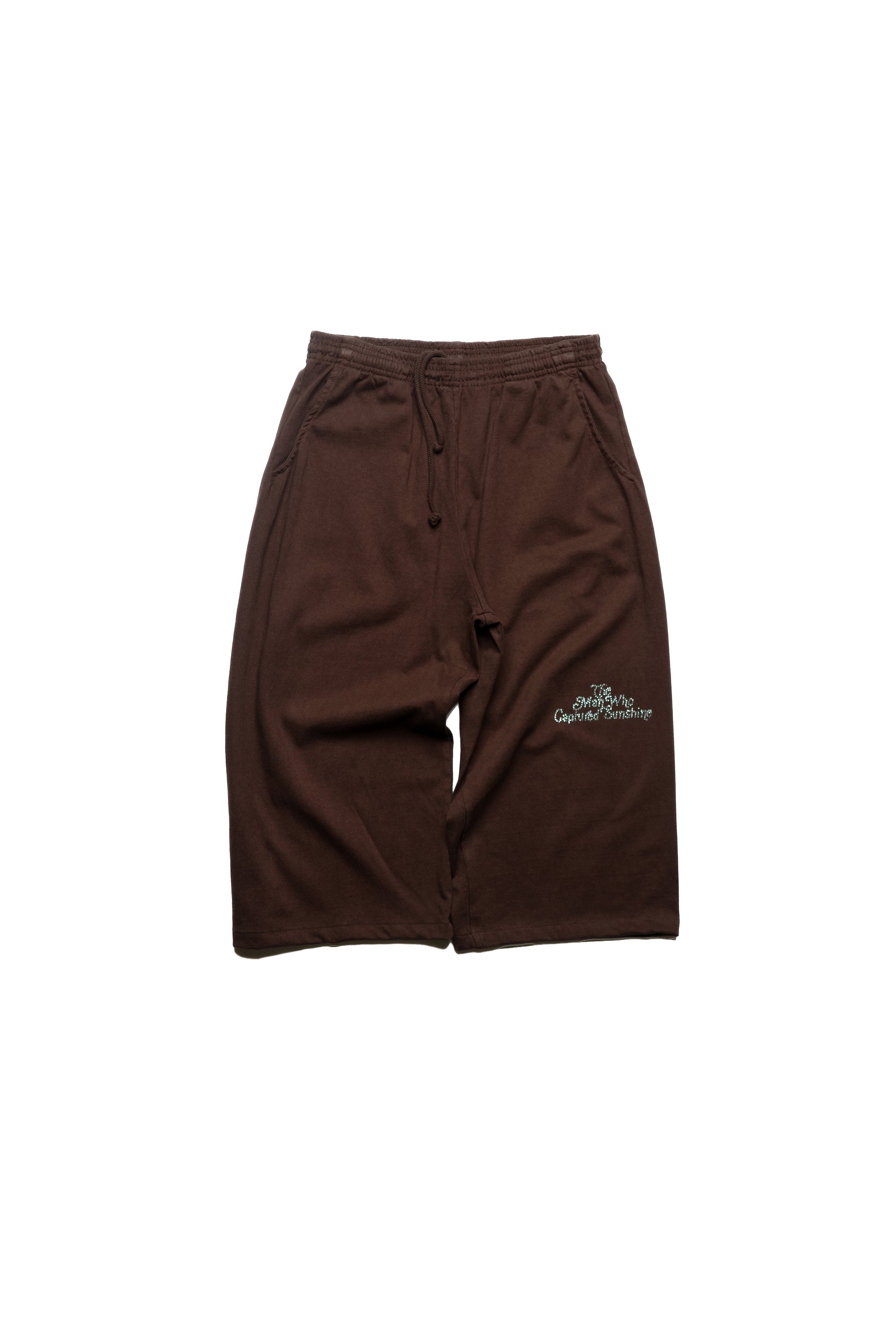 MESA BAGGY SHORTS(BROWN)