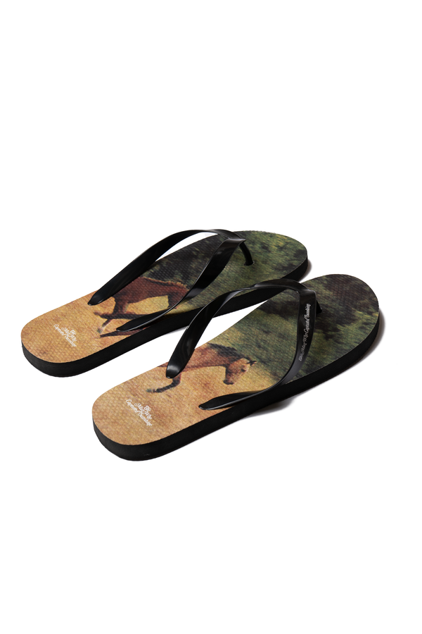 FLOPS