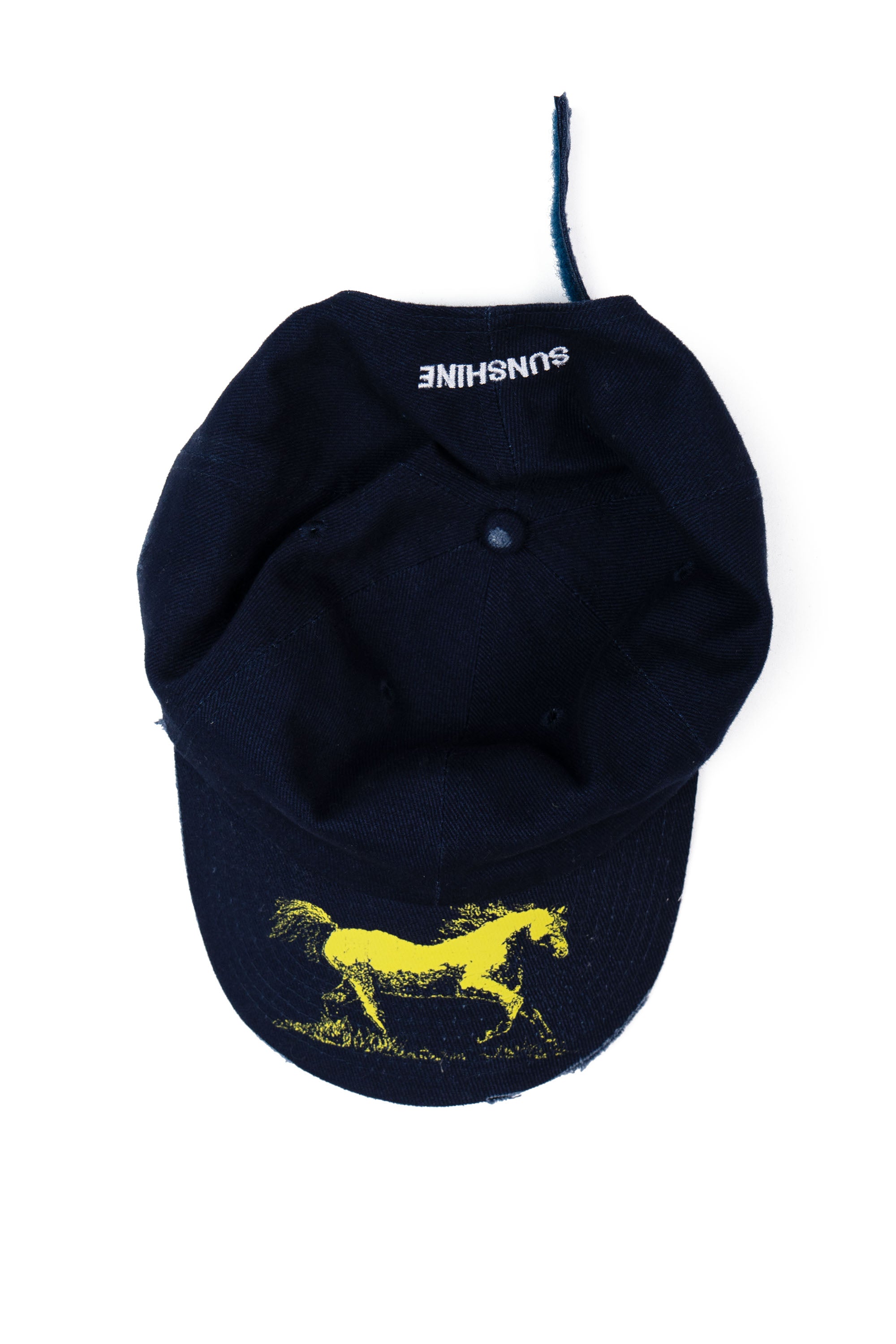 HORSE BRIM