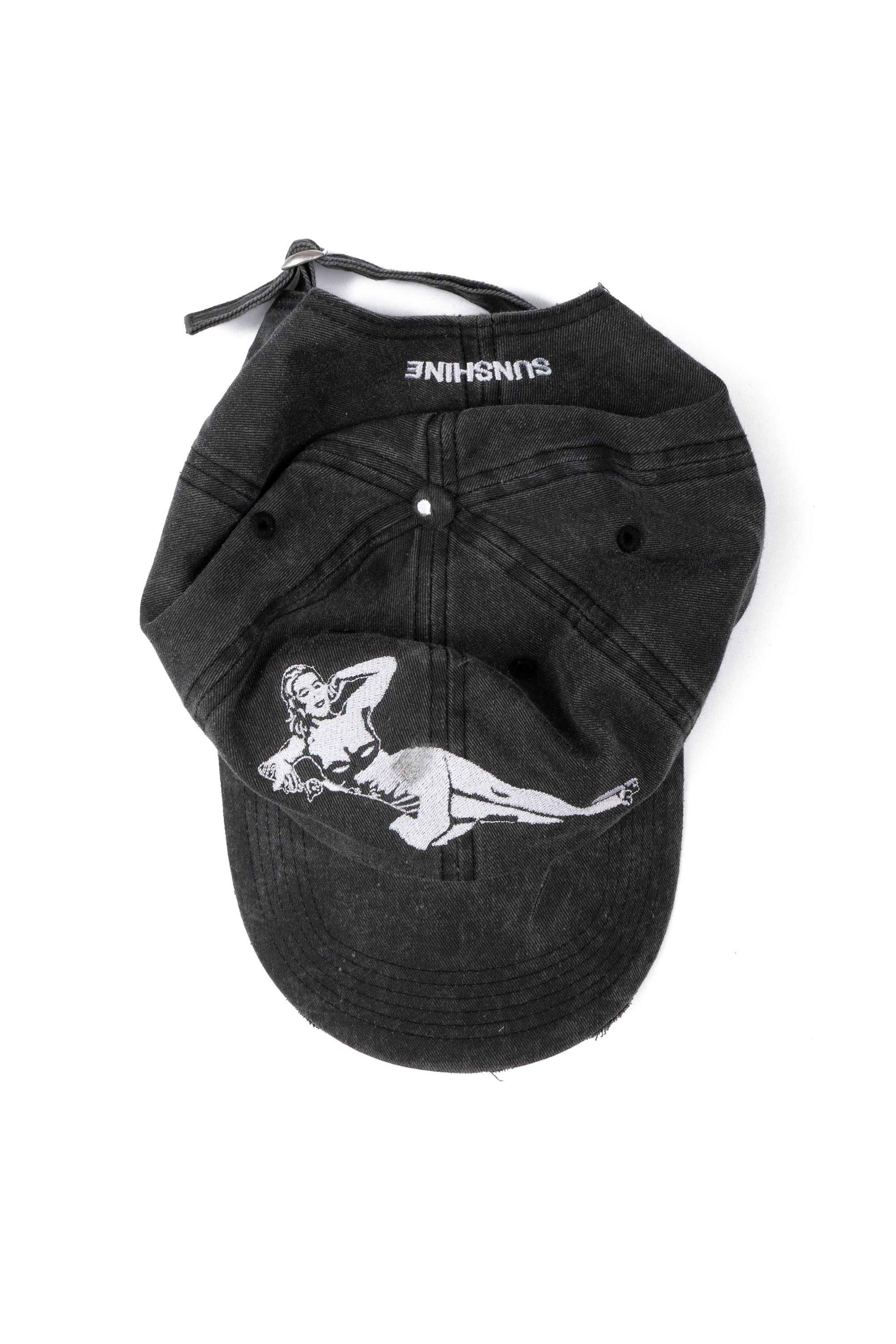 PINUP VISOR